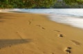 Anse Lazio beach, Seychelles Royalty Free Stock Photo