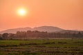 Sunset behind the cornfield Royalty Free Stock Photo
