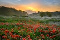 Sunset behind mist shrouded Castle and Dunes Royalty Free Stock Photo