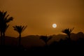 sunset behind the mountain against the background of palm trees in Egypt in Sharm El Sheikh, sunset in the desert Royalty Free Stock Photo