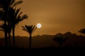 sunset behind the mountain against the background of palm trees in Egypt in Sharm El Sheikh, sunset in the desert Royalty Free Stock Photo