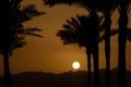 sunset behind the mountain against the background of palm trees in Egypt in Sharm El Sheikh, sunset in the desert Royalty Free Stock Photo