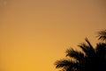 sunset behind the mountain against the background of palm trees in Egypt in Sharm El Sheikh, sunset in the desert Royalty Free Stock Photo