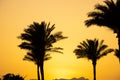 sunset behind the mountain against the background of palm trees in Egypt in Sharm El Sheikh, sunset in the desert Royalty Free Stock Photo