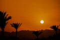 Sunset behind the mountain against the background of palm trees in Egypt in Sharm El Sheikh, sunset in the desert Royalty Free Stock Photo