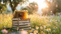 Sunset behind a natural beehive. Royalty Free Stock Photo