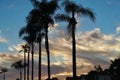 Blazing Sunset Clouds over Myrtle Avenue