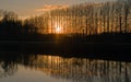 Sunset behind a row of poplar trees along river Scheldt in the flemish countryside Royalty Free Stock Photo