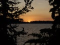 Sunset behind the tree at Waldo Lake is a natural alpine lake in the Cascade Mountains of the U.S. state of Oregon