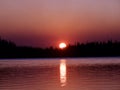 Sunset behind the tree at Waldo Lake Royalty Free Stock Photo