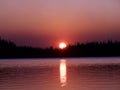 Sunset behind the tree at Waldo Lake Royalty Free Stock Photo