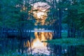 Sunset behind the trees down the creek Royalty Free Stock Photo