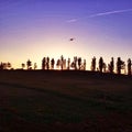 Sunset behind trees Royalty Free Stock Photo