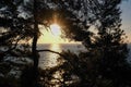 Sunset behind trees with sea view, Heybeliada, Istanbul Royalty Free Stock Photo