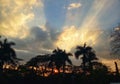 Sunset behind trees Royalty Free Stock Photo