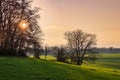 Sunset behind trees and view over fields and meadows