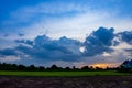 Sunset behind Wat Lad Pha Dook , Temple in Nonthaburi. Royalty Free Stock Photo