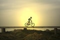 Sunset bicycle