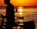 Sunset and bicycle silhouette