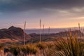 Sunset in Big Bend National Park