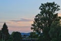 Sunset and big green trees