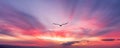 Sunset Bird Flying Silhouette Inspiration Banner Royalty Free Stock Photo