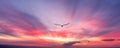 Sunset Bird Flying Silhouette Inspiration Banner Royalty Free Stock Photo