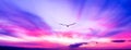 Sunset Bird Flying Silhouette Soaring Colorful Romantic Sky Uplifting Hope Banner Header Royalty Free Stock Photo