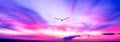 Sunset Bird Flying Soaring Banner Header Colorful Divine Hope Ethereal Sunrise Royalty Free Stock Photo