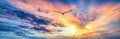 Sunset Bird Flying Soaring Inspiration Sky Uplifting Soaring Faith Hope Sunrise Banner Header Royalty Free Stock Photo