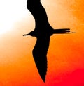Sunset Bird Vertical Illustration