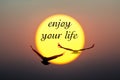 Sunset and Birds with enjoy your life text