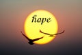 Sunset and Birds with hope text Royalty Free Stock Photo