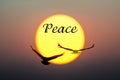 Sunset and Birds with peace text