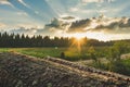 Sunset at the Black Forest