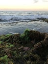 Sunset at Black Reef Covered with Seaweed in Winter in Kapaa on Kauai Island, Hawaii.