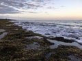 Sunset at Black Reef Covered with Seaweed in Winter in Kapaa on Kauai Island, Hawaii.