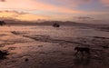 Sunset on the black sand beach of Puerto Viejo, Costa Rica Royalty Free Stock Photo