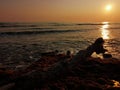 Sunset Black sea tree waves sky sun