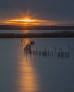 Sunset at Blackwater National Wildlife Refuge Royalty Free Stock Photo