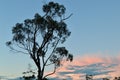 Sunset in the Blue Mountains of Australia Royalty Free Stock Photo