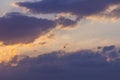 Sunset on a blue sky background - golden rays of the sun, dark-pink clouds and a flying helicopter