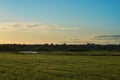 Sunset with blue sky and field with wheat grown in