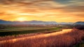 Sunset and blurred clouds illuminate the fertile fields