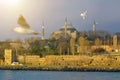 Sunset on Bosphorus with Turkey Mosque and birds view, Istanbul landscape Royalty Free Stock Photo