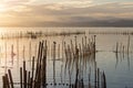 Sunset in the calm waters in the natural park of Albufera, Valencia, Spain. Magical colors. Perfect natural background