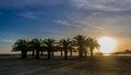 A sunset in a Cambrils beach with a group of palm trees