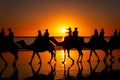 Sunset camel ride in Broome, Western Australia Royalty Free Stock Photo