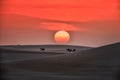 Sunset with camels in desert