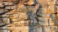 Sunset canyon stone or rock wall texture Royalty Free Stock Photo